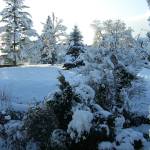 2008-12-13_horb_winterlandschaft-01.jpg