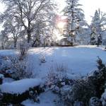 2008-12-13_horb_winterlandschaft-02.jpg