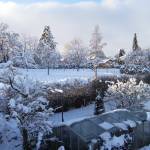 2008-12-13_horb_winterlandschaft-03.jpg