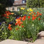 2010-04-18_karlsruhe-fruehling-004.jpg